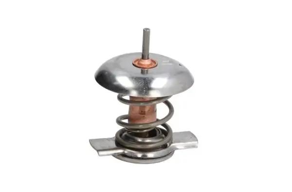 Thermostat, Kühlmittel THERMOTEC D2X007TT