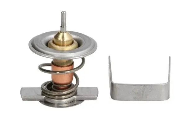 Thermostat, Kühlmittel THERMOTEC D2X009TT