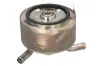 Ölkühler, Motoröl THERMOTEC D45001TT Bild Ölkühler, Motoröl THERMOTEC D45001TT