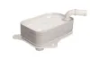 Ölkühler, Motoröl THERMOTEC D4A013TT Bild Ölkühler, Motoröl THERMOTEC D4A013TT