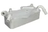 Ölkühler, Motoröl THERMOTEC D4A022TT Bild Ölkühler, Motoröl THERMOTEC D4A022TT