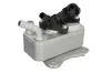 Ölkühler, Motoröl THERMOTEC D4B033TT Bild Ölkühler, Motoröl THERMOTEC D4B033TT