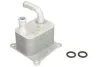Ölkühler, Motoröl THERMOTEC D4G011TT Bild Ölkühler, Motoröl THERMOTEC D4G011TT