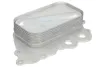 Ölkühler, Motoröl THERMOTEC D4M016TT