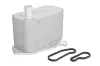 Ölkühler, Motoröl THERMOTEC D4V010TT Bild Ölkühler, Motoröl THERMOTEC D4V010TT
