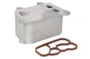 Ölkühler, Motoröl THERMOTEC D4W015TT Bild Ölkühler, Motoröl THERMOTEC D4W015TT