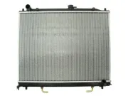 Kühler, Motorkühlung THERMOTEC D75012TT