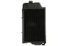 Kühler, Motorkühlung THERMOTEC D7AG080TT Bild Kühler, Motorkühlung THERMOTEC D7AG080TT