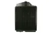 Kühler, Motorkühlung THERMOTEC D7AG167TT Bild Kühler, Motorkühlung THERMOTEC D7AG167TT