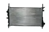 Kühler, Motorkühlung THERMOTEC D7G017TT