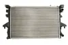 Kühler, Motorkühlung THERMOTEC D7W071TT