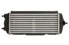 Ladeluftkühler THERMOTEC DA03005TT Bild Ladeluftkühler THERMOTEC DA03005TT