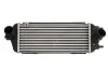 Ladeluftkühler THERMOTEC DA03006TT Bild Ladeluftkühler THERMOTEC DA03006TT