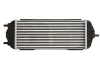 Ladeluftkühler THERMOTEC DA03006TT Bild Ladeluftkühler THERMOTEC DA03006TT