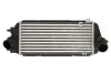 Ladeluftkühler THERMOTEC DA05009TT Bild Ladeluftkühler THERMOTEC DA05009TT