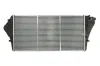 Ladeluftkühler THERMOTEC DA1007TT Bild Ladeluftkühler THERMOTEC DA1007TT