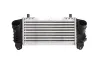Ladeluftkühler THERMOTEC DAA007TT
