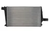 Ladeluftkühler THERMOTEC DAA027TT