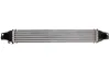 Ladeluftkühler THERMOTEC DAC008TT Bild Ladeluftkühler THERMOTEC DAC008TT