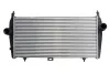 Ladeluftkühler THERMOTEC DAC010TT Bild Ladeluftkühler THERMOTEC DAC010TT
