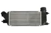 Ladeluftkühler THERMOTEC DAC011TT Bild Ladeluftkühler THERMOTEC DAC011TT