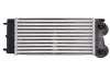 Ladeluftkühler THERMOTEC DAC013TT Bild Ladeluftkühler THERMOTEC DAC013TT