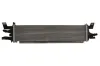 Niedertemperaturkühler, Ladeluftkühler THERMOTEC DAG020TT Bild Niedertemperaturkühler, Ladeluftkühler THERMOTEC DAG020TT