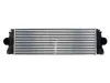 Ladeluftkühler THERMOTEC DAM004TT