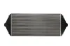 Ladeluftkühler THERMOTEC DAP001TT Bild Ladeluftkühler THERMOTEC DAP001TT