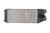 Ladeluftkühler THERMOTEC DAP003TT Bild Ladeluftkühler THERMOTEC DAP003TT