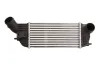 Ladeluftkühler THERMOTEC DAP005TT Bild Ladeluftkühler THERMOTEC DAP005TT