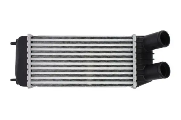 Ladeluftkühler THERMOTEC DAP006TT