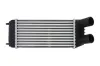 Ladeluftkühler THERMOTEC DAP006TT