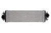 Ladeluftkühler THERMOTEC DAR009TT