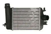 Ladeluftkühler THERMOTEC DAR031TT
