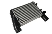 Ladeluftkühler THERMOTEC DAW002TT
