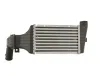 Ladeluftkühler THERMOTEC DAX001TT