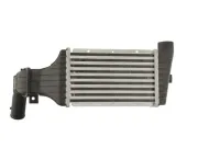 Ladeluftkühler THERMOTEC DAX001TT
