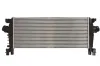 Ladeluftkühler THERMOTEC DAX029TT
