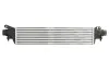 Ladeluftkühler THERMOTEC DAX038TT Bild Ladeluftkühler THERMOTEC DAX038TT