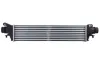 Ladeluftkühler THERMOTEC DAX039TT Bild Ladeluftkühler THERMOTEC DAX039TT