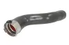 Ladeluftschlauch links THERMOTEC DC1502TT Bild Ladeluftschlauch links THERMOTEC DC1502TT
