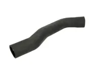 Ladeluftschlauch rechts Vorderachse THERMOTEC DCG167TT