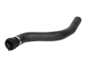 Kühlerschlauch oben THERMOTEC DCG035TT