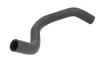 Kühlerschlauch THERMOTEC DCG041TT
