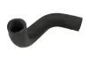 Kühlerschlauch unten Vorderachse THERMOTEC DCG134TT