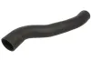 Ladeluftschlauch rechts THERMOTEC DCG239TT