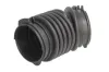 Ansaugschlauch, Luftfilter THERMOTEC DCG291TT