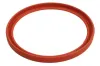 Dichtring, Ladeluftschlauch THERMOTEC DCR281TT Bild Dichtring, Ladeluftschlauch THERMOTEC DCR281TT