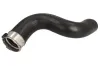 Ladeluftschlauch THERMOTEC DCR294TT